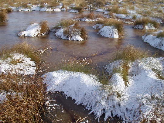 Thorne Moors: Thorne Moors